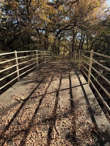 Tbd Fm 1655 Chico TX 76431