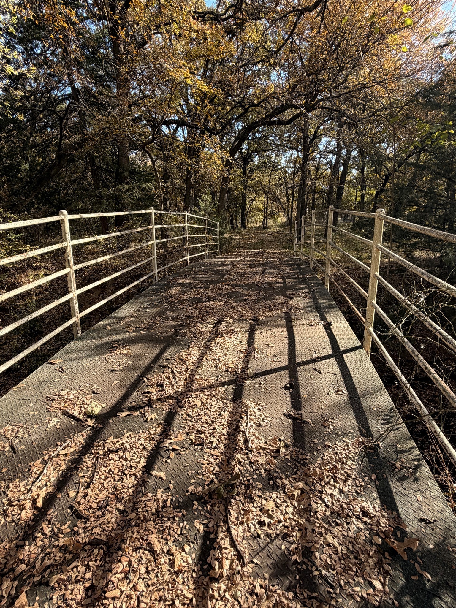 Tbd Fm 1655 Chico TX 76431