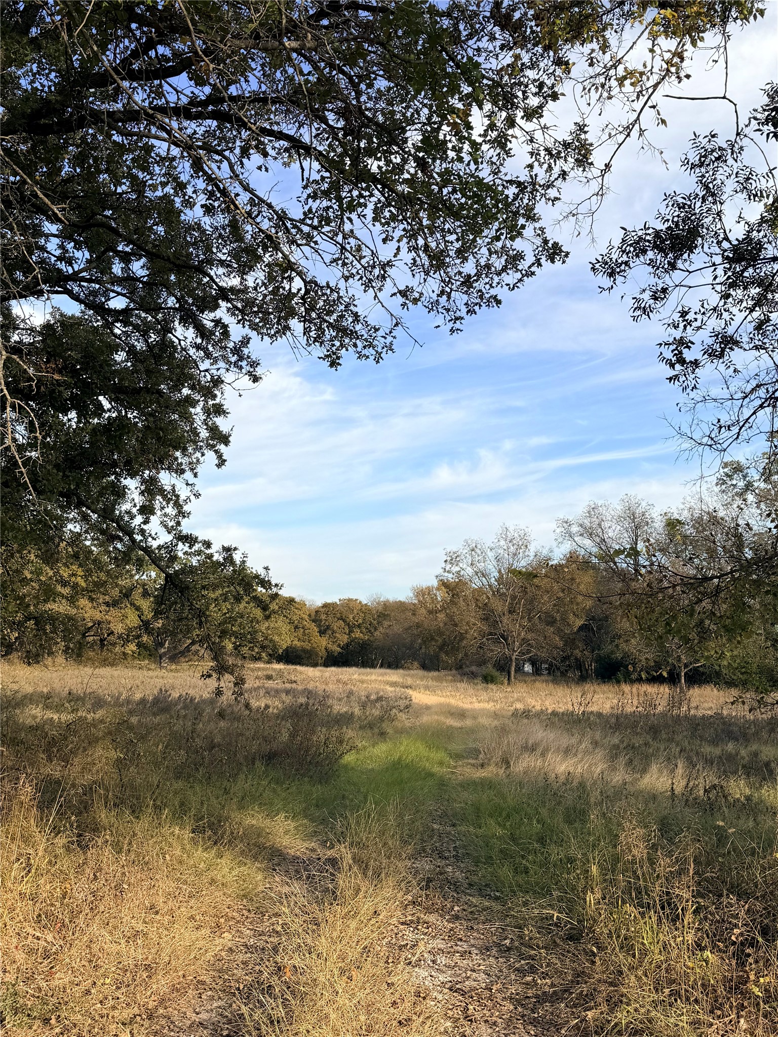 Tbd Fm 1655 Chico TX 76431
