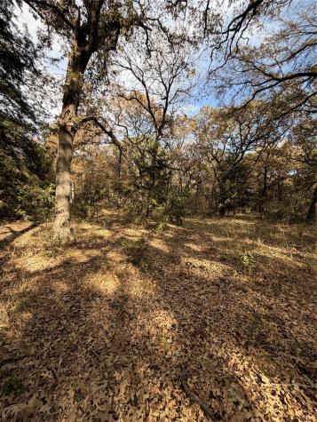 Tbd Fm 1655 Chico TX 76431