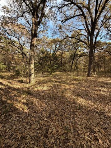 Tbd Fm 1655 Chico TX 76431