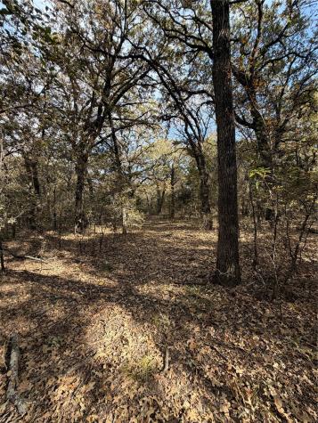 Tbd Fm 1655 Chico TX 76431