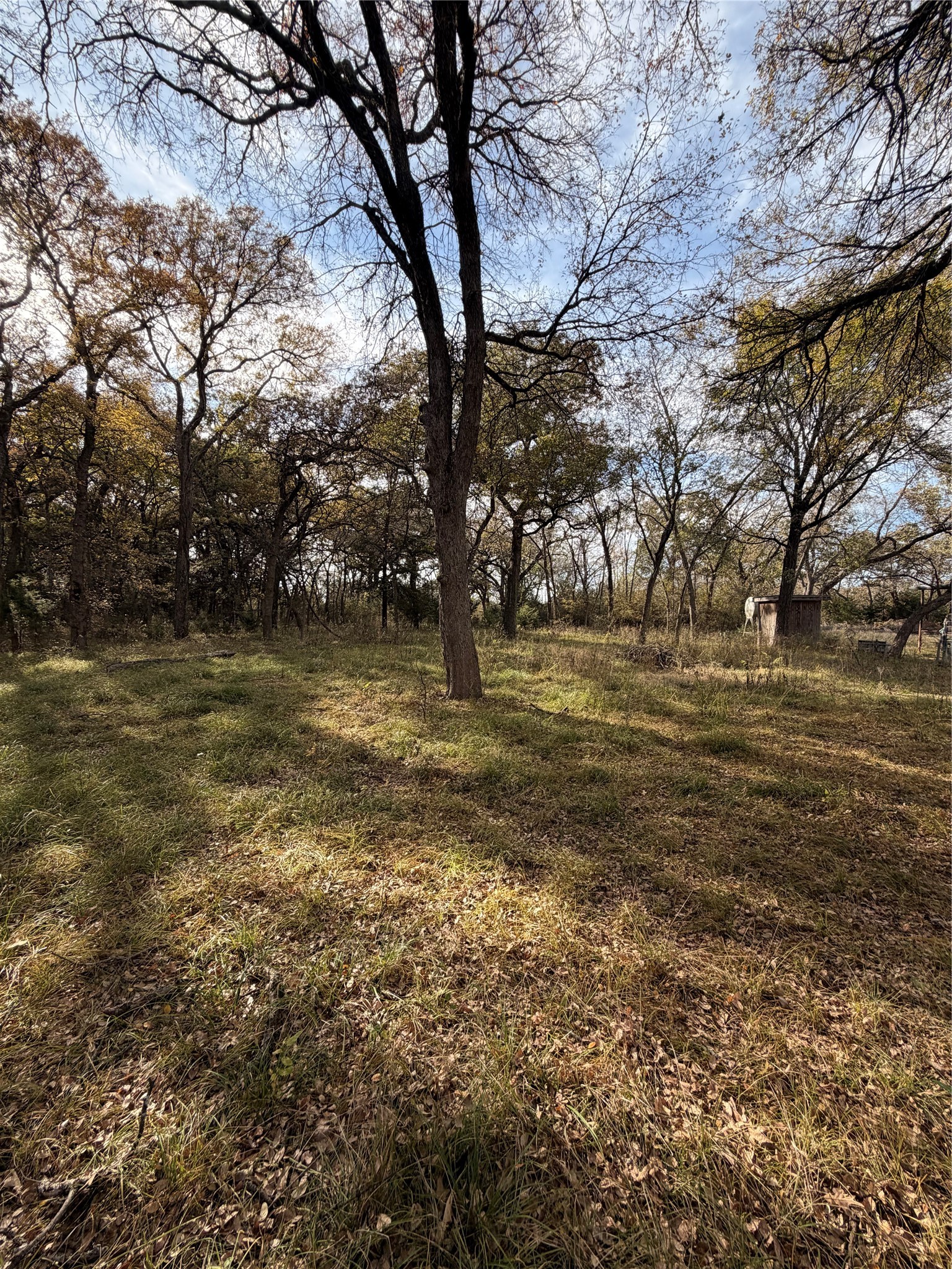 Tbd Fm 1655 Chico TX 76431