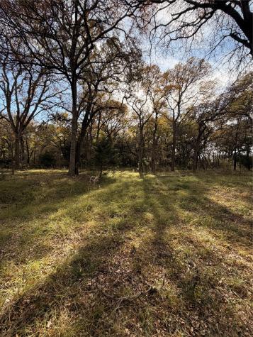 Tbd Fm 1655 Chico TX 76431