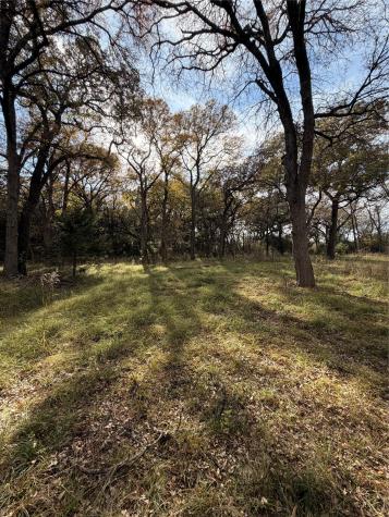 Tbd Fm 1655 Chico TX 76431