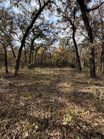 Tbd Fm 1655 Chico TX 76431