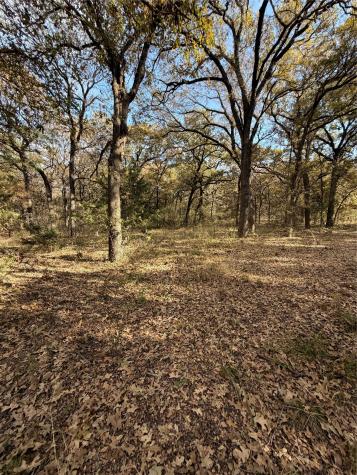 Tbd Fm 1655 Chico TX 76431