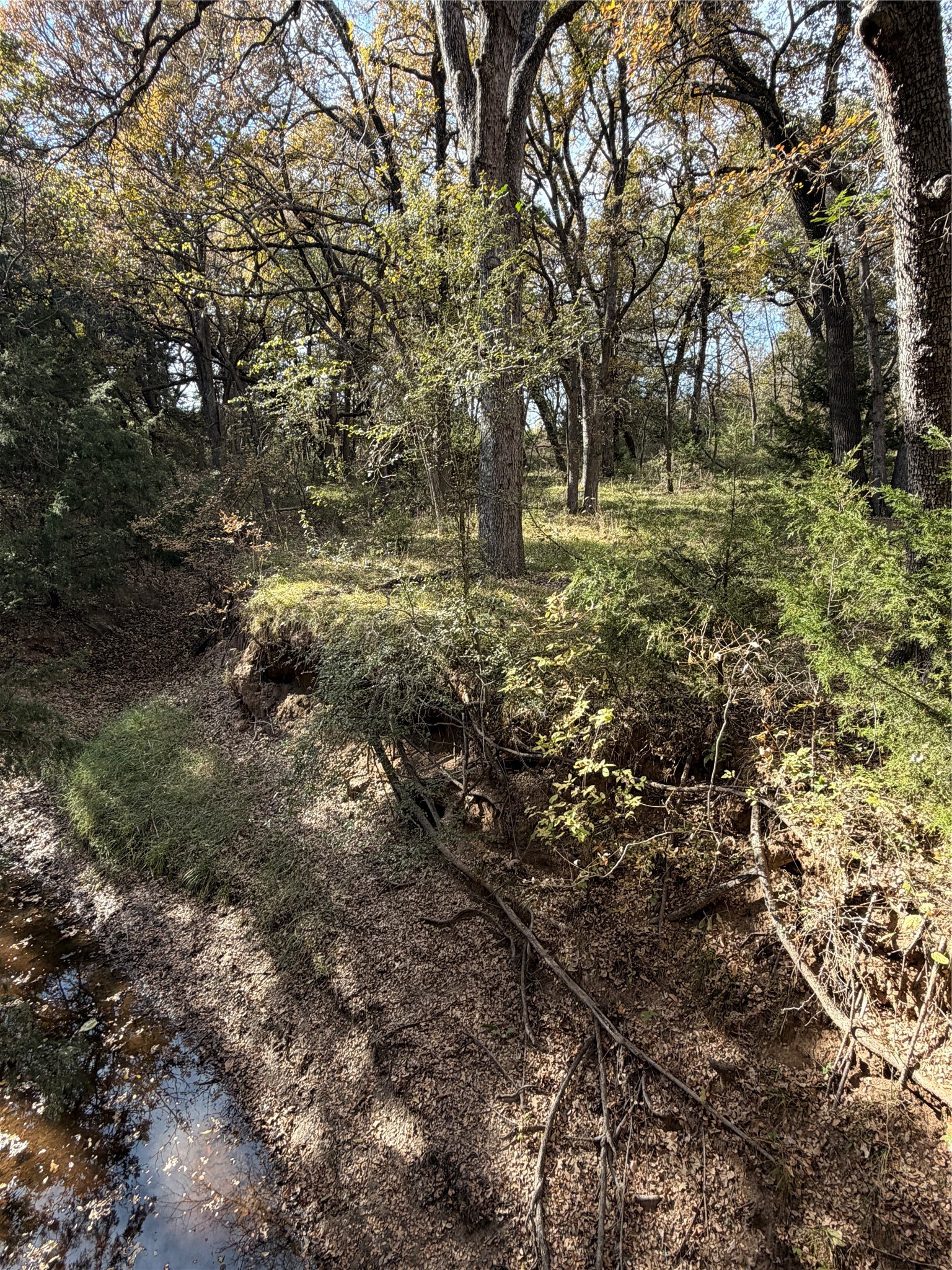 Tbd Fm 1655 Chico TX 76431
