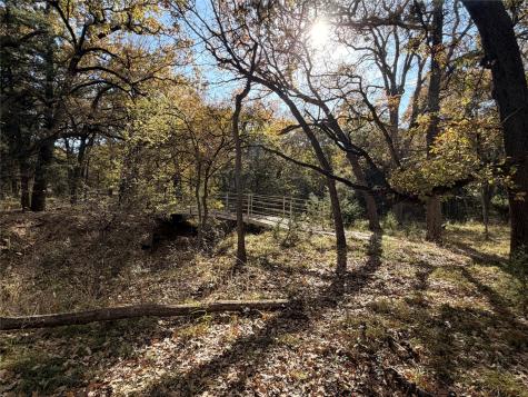 Tbd Fm 1655 Chico TX 76431