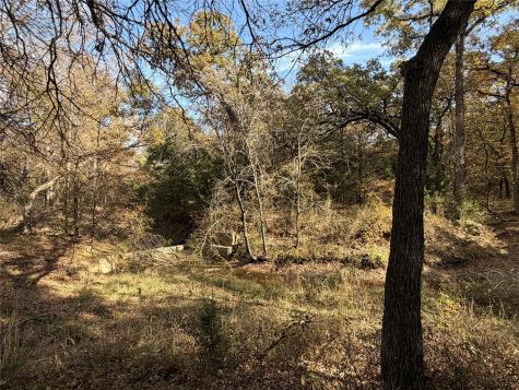 Tbd Fm 1655 Chico TX 76431