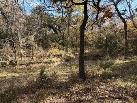 Tbd Fm 1655 Chico TX 76431