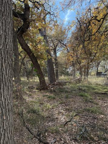 Tbd Fm 1655 Chico TX 76431
