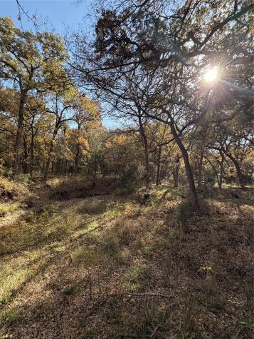 Tbd Fm 1655 Chico TX 76431