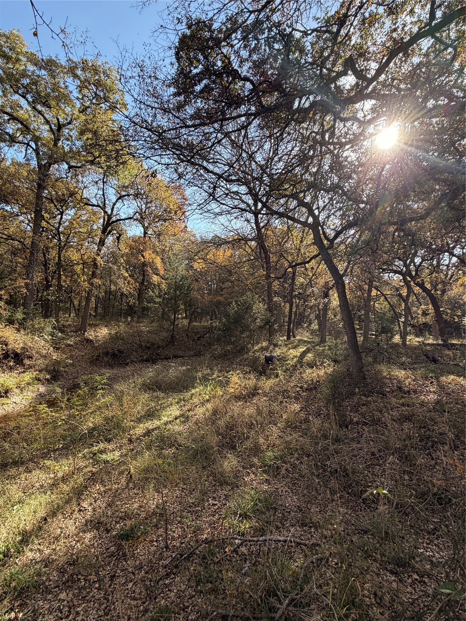 Tbd Fm 1655 Chico TX 76431
