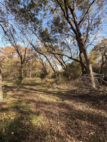 Tbd Fm 1655 Chico TX 76431
