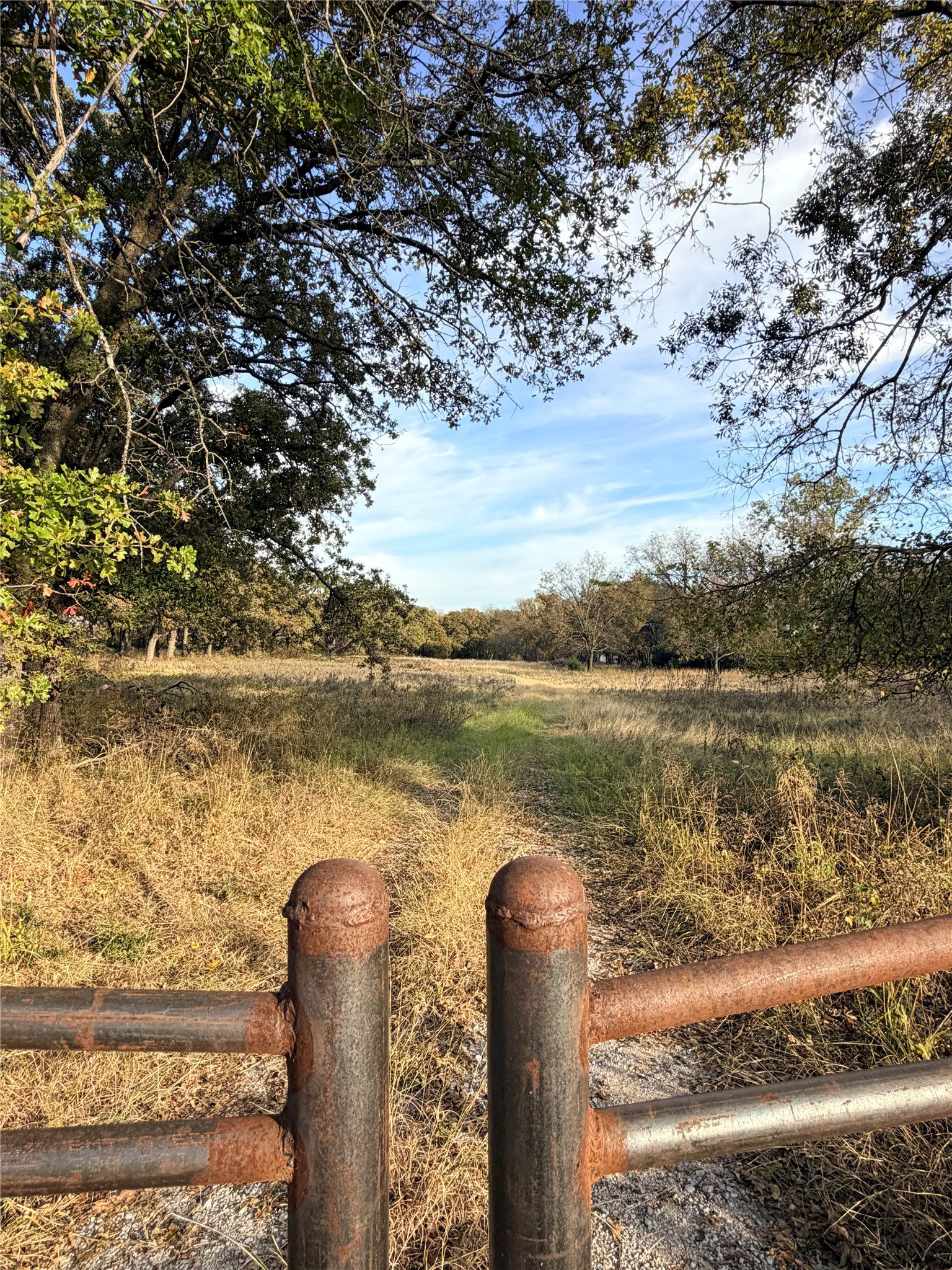 Tbd Fm 1655 Chico TX 76431