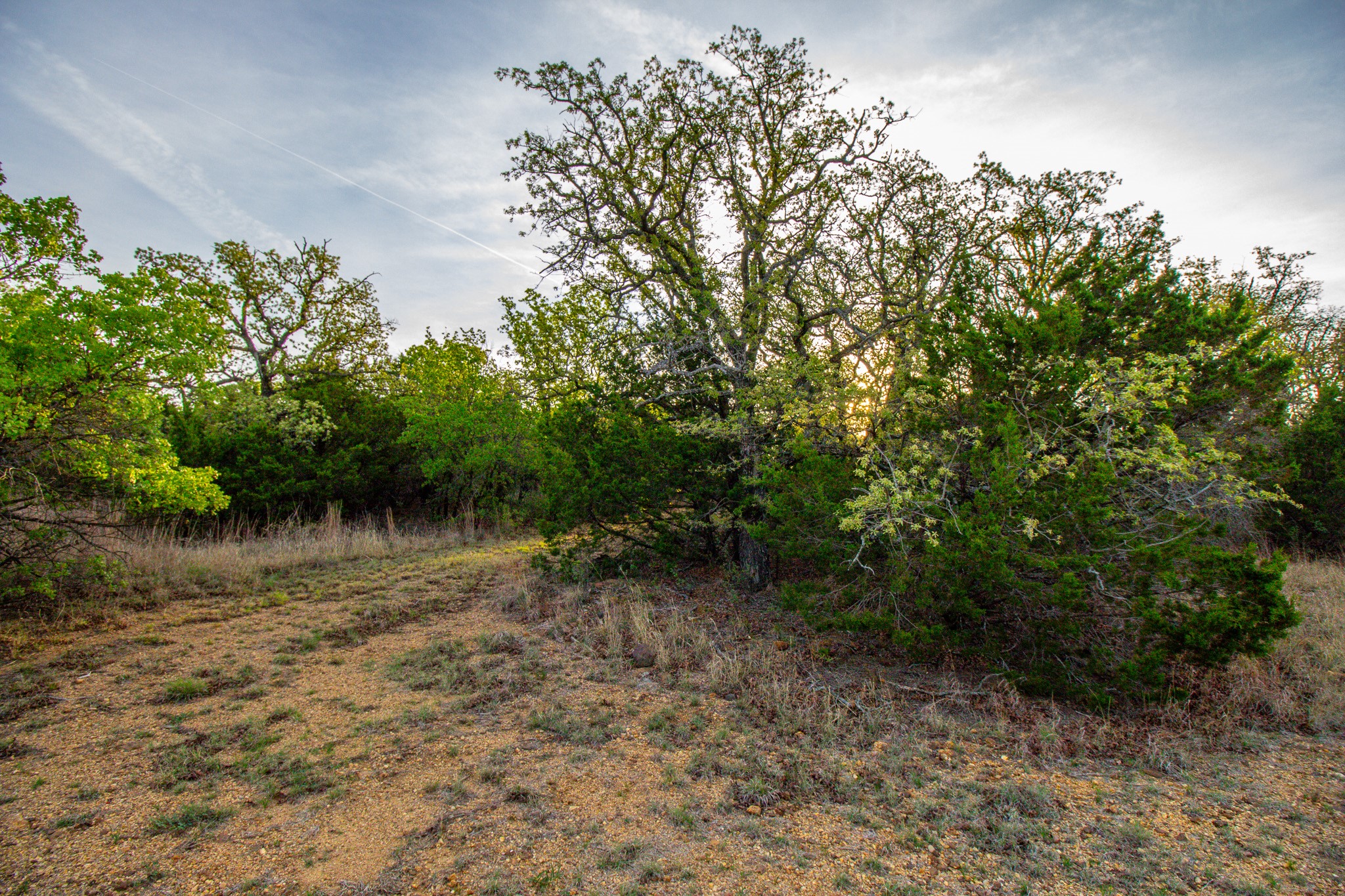 3257 Finis Road Graham TX 76450