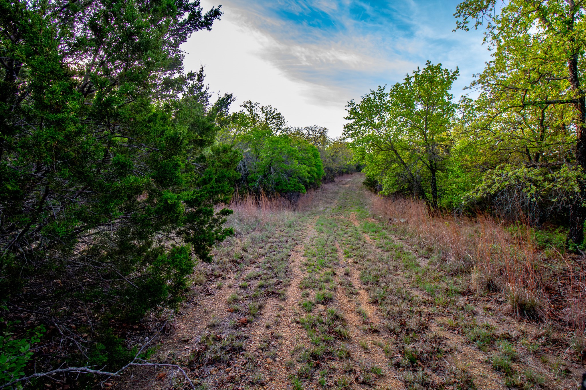 3257 Finis Road Graham TX 76450