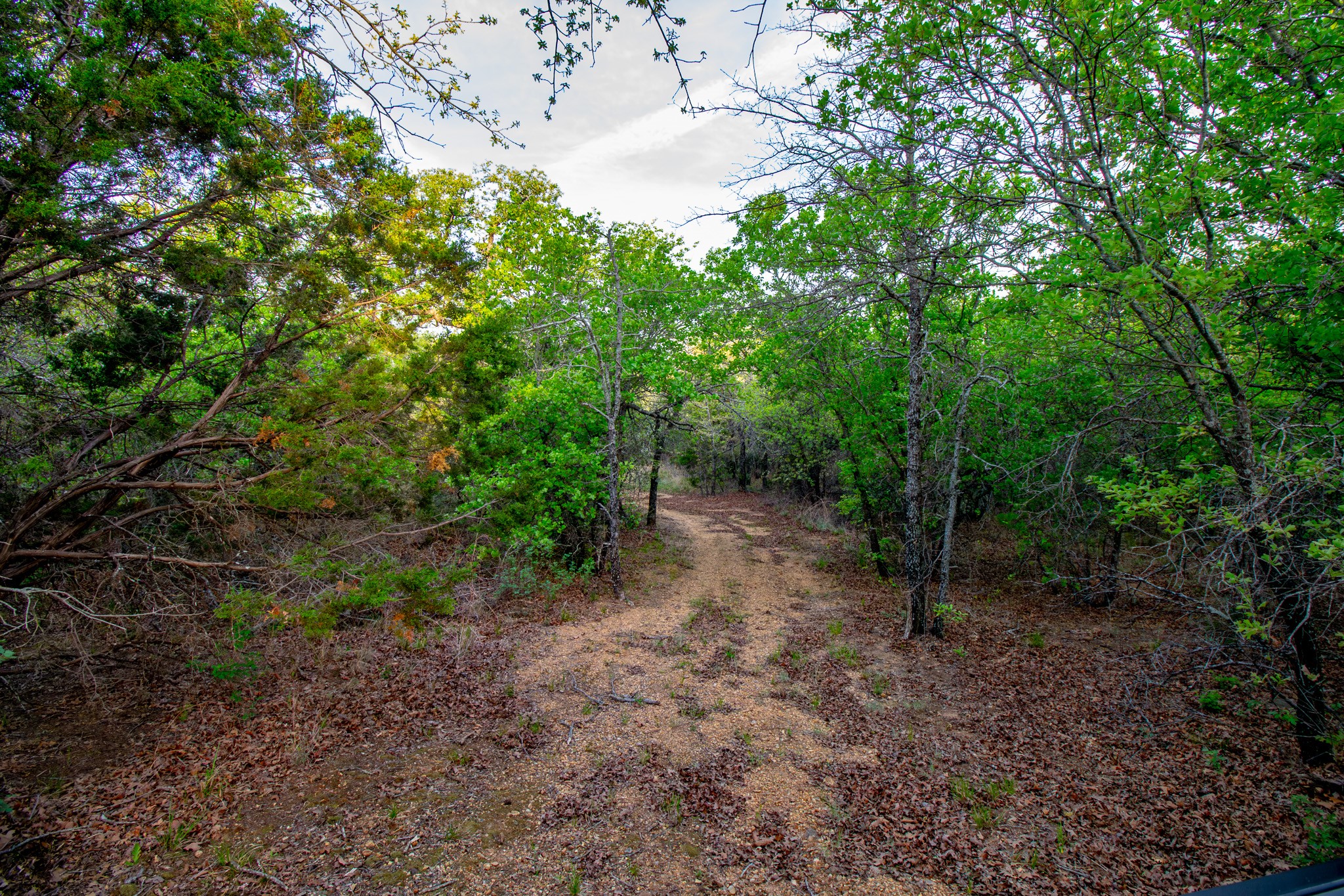 3257 Finis Road Graham TX 76450