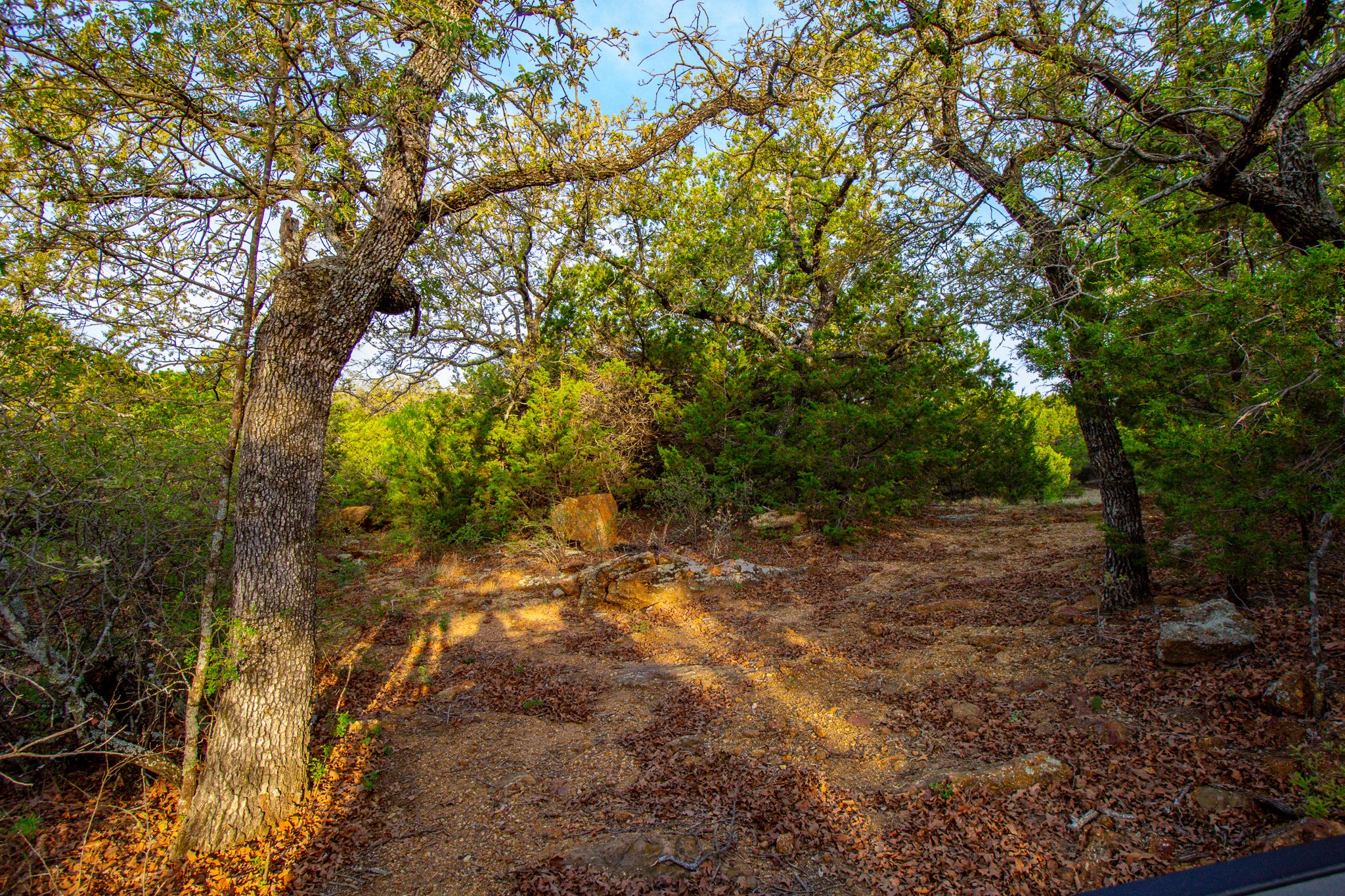 3257 Finis Road Graham TX 76450