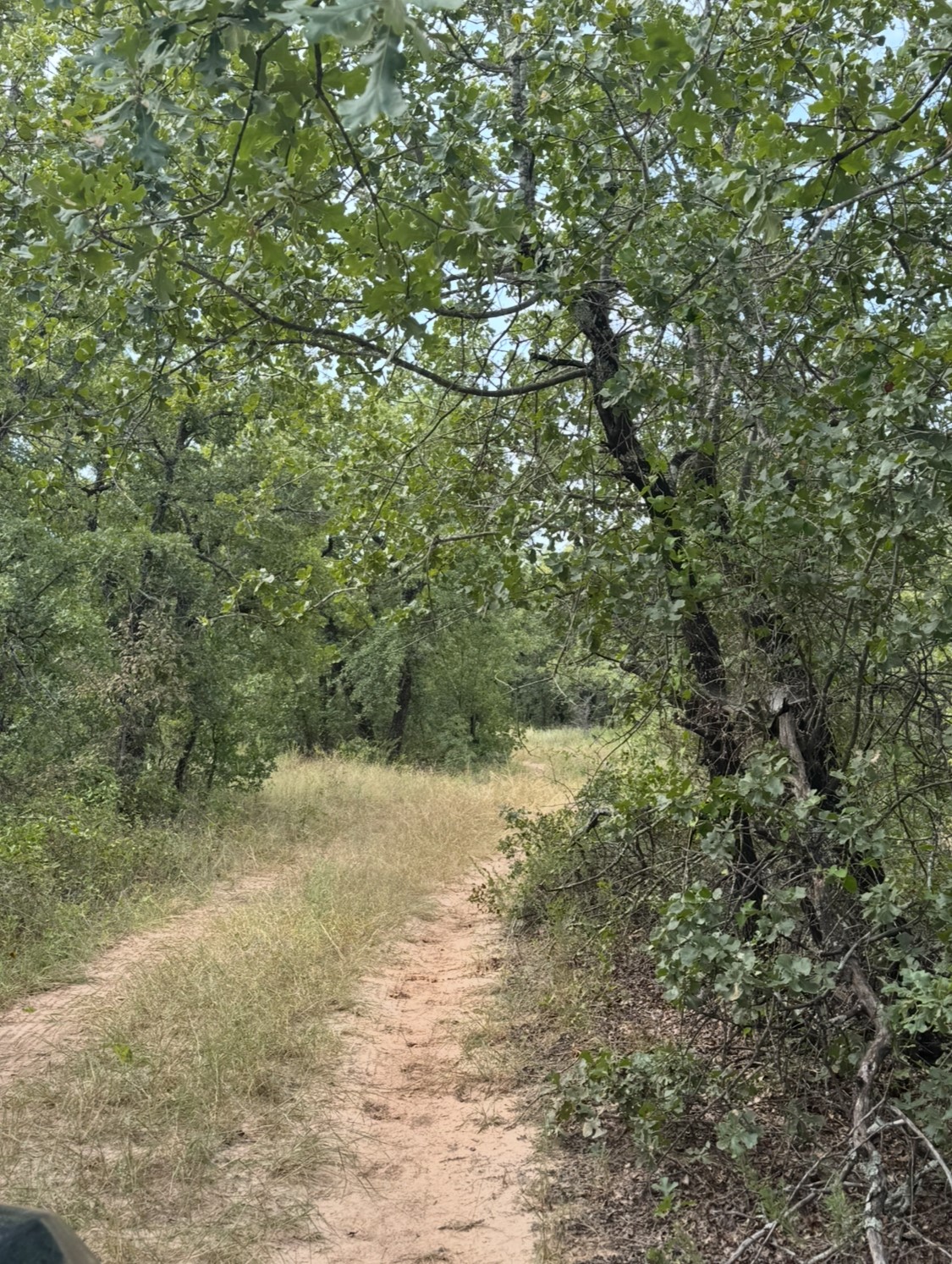 Tbd Cr 3540 Bridgeport TX 76426
