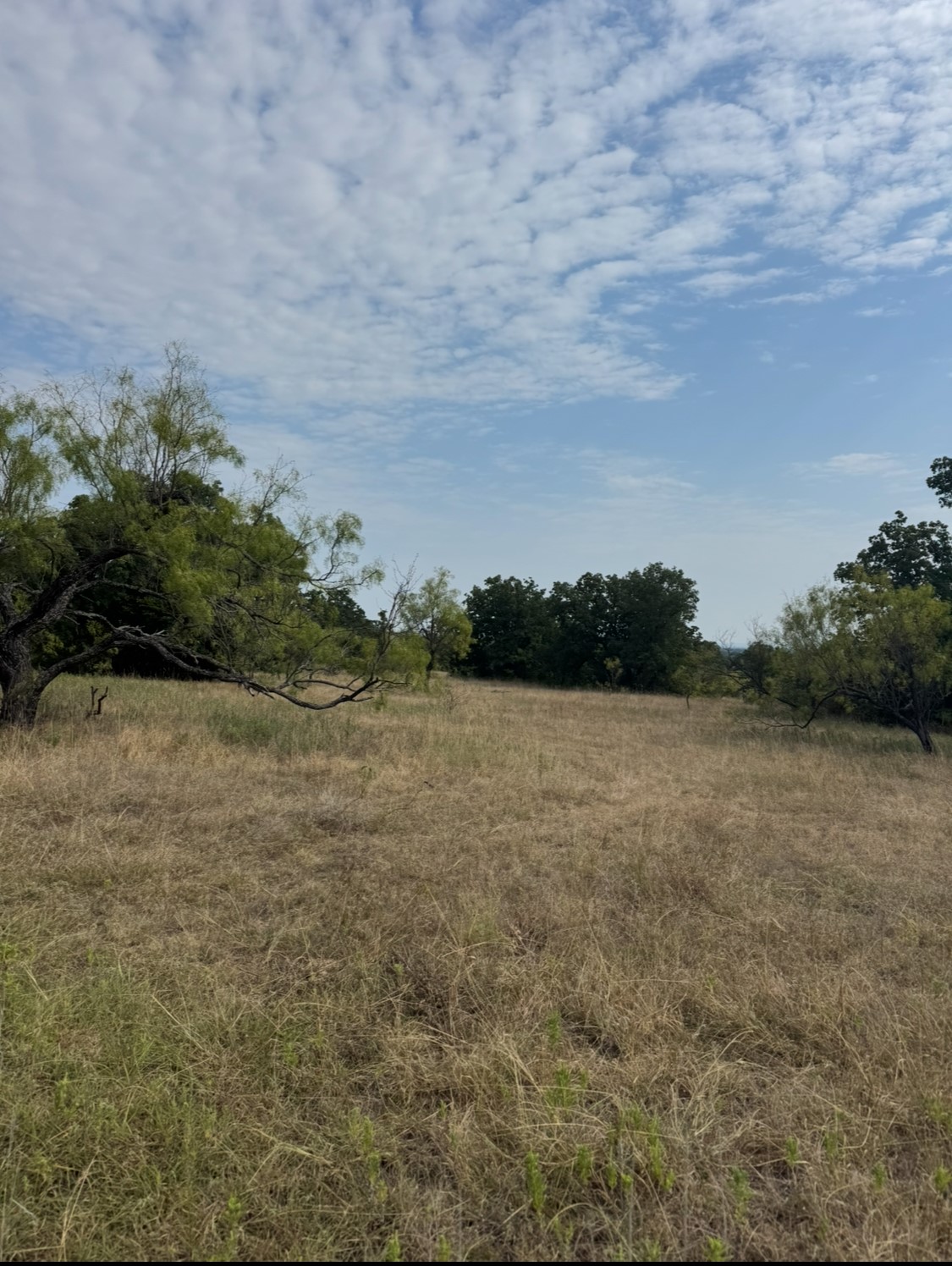 Tbd Cr 3540 Bridgeport TX 76426