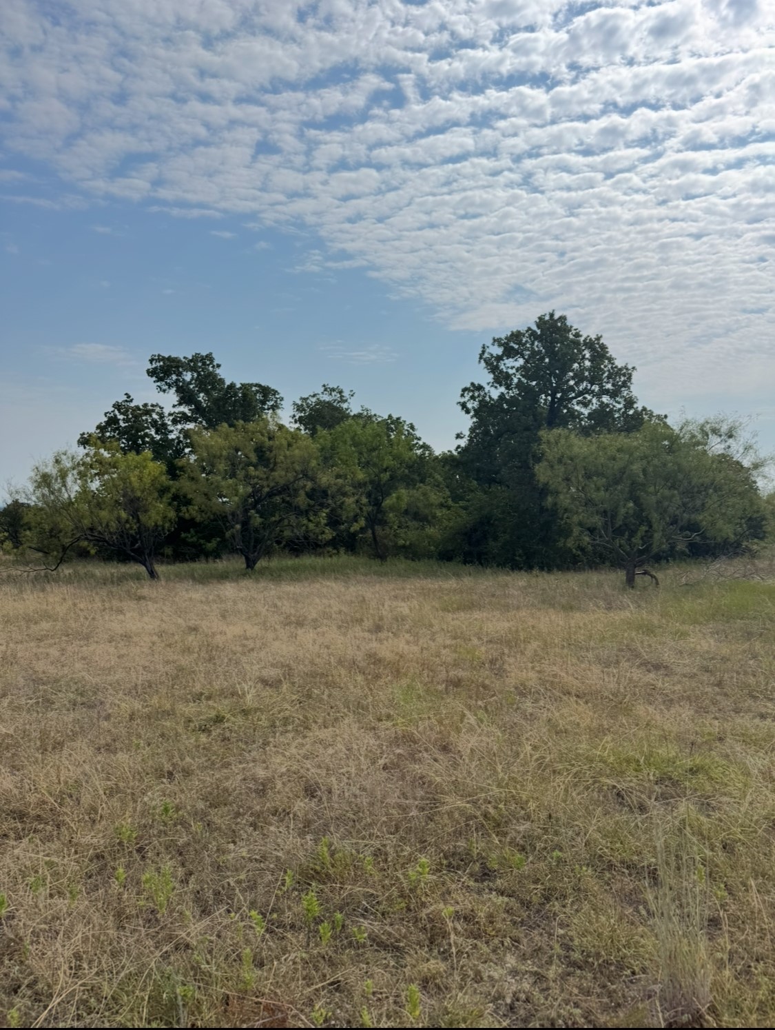 Tbd Cr 3540 Bridgeport TX 76426