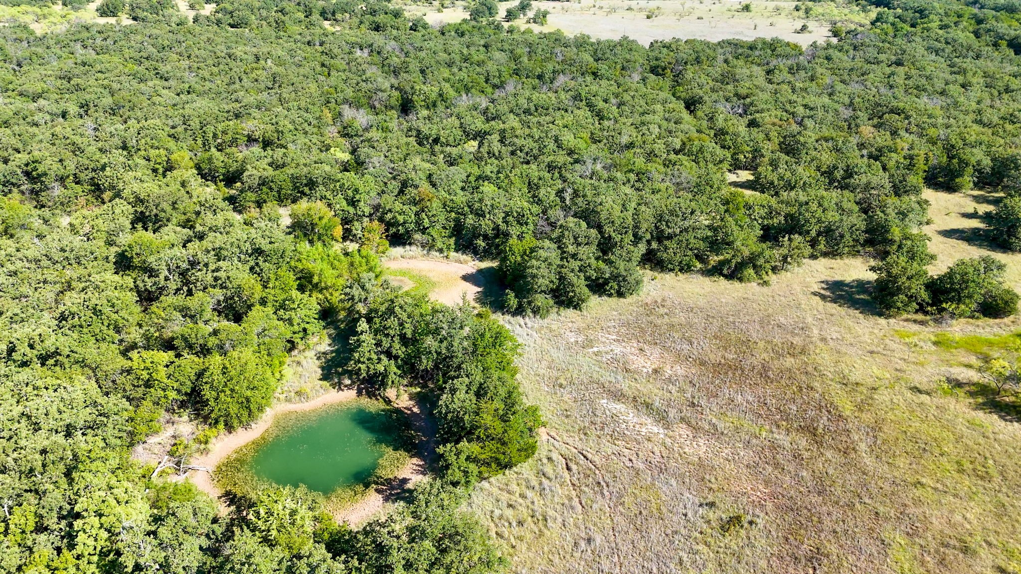 Tbd Cr 3540 Bridgeport TX 76426