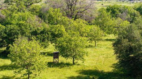 11701 Bowden Road Lipan TX 76462