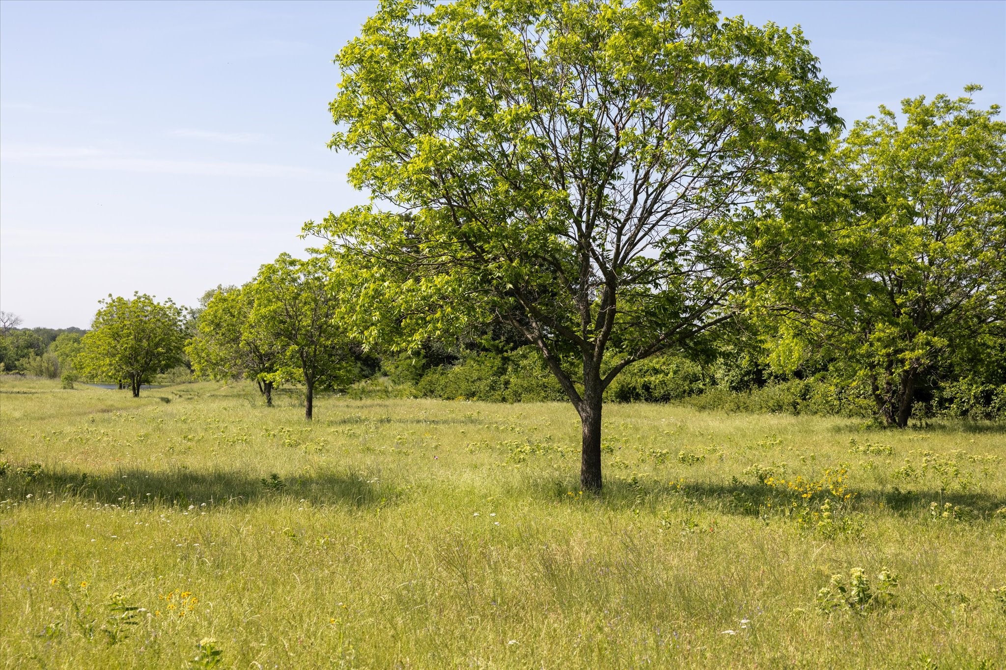 11701 Bowden Road Lipan TX 76462