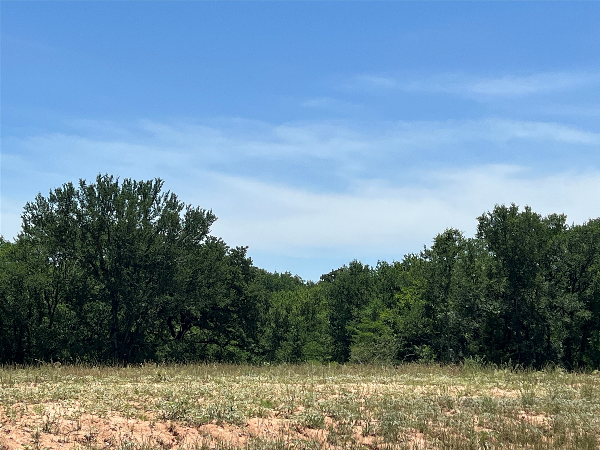 226 Stuart Street Paradise TX 76073