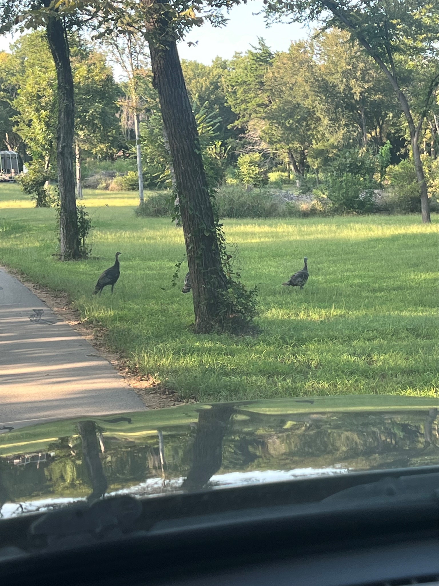 Tbd Waterworks Road Midlothian TX 76065
