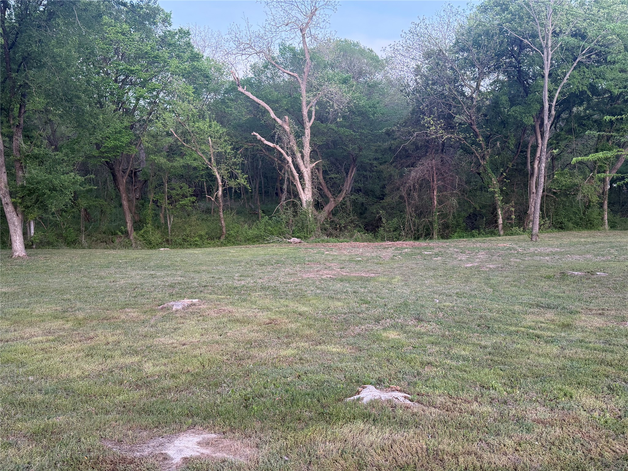 Tbd Waterworks Road Midlothian TX 76065