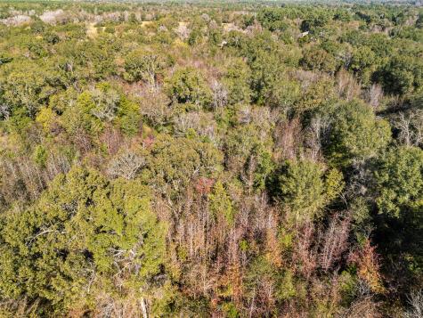 Tbd Vz County Road 4815 Chandler TX 75758