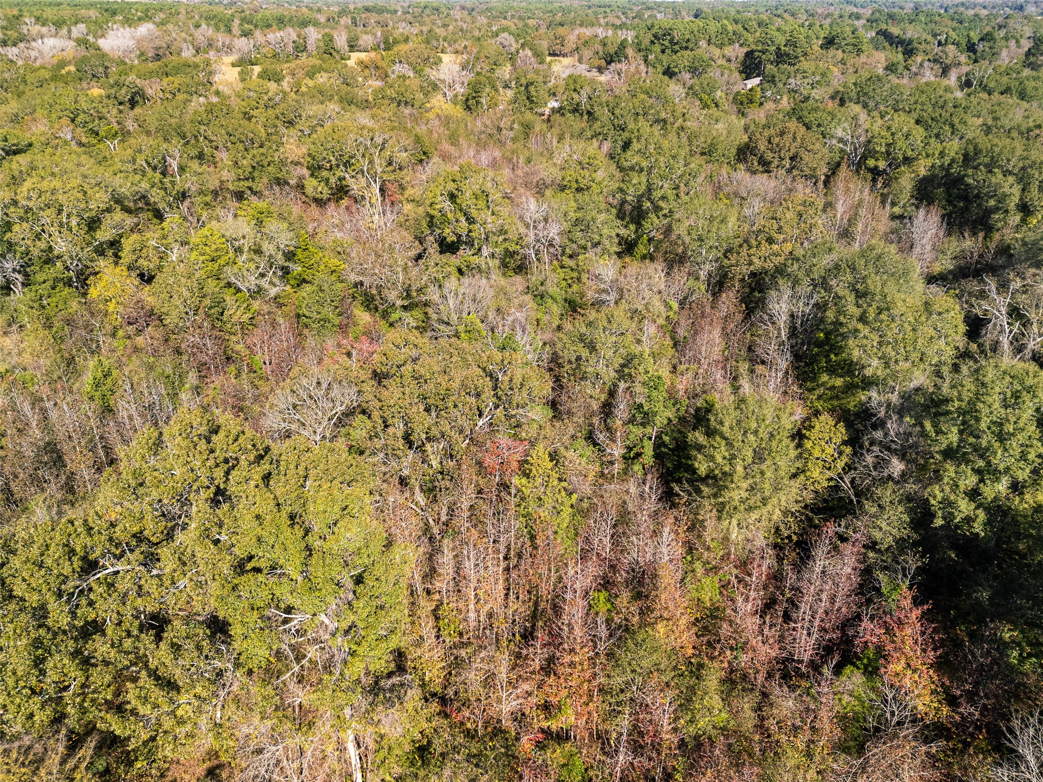 Tbd Vz County Road 4815 Chandler TX 75758