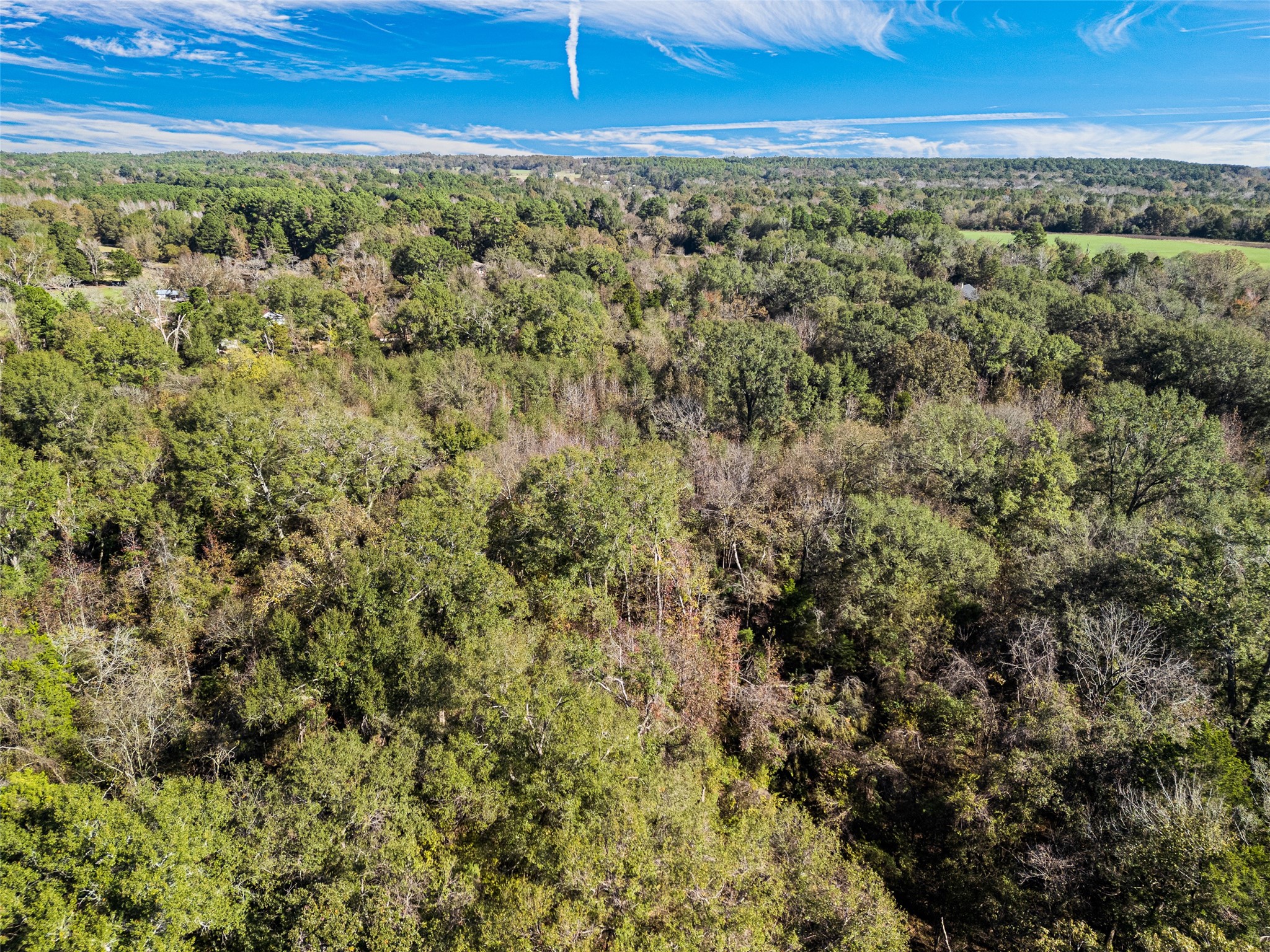 Tbd Vz County Road 4815 Chandler TX 75758
