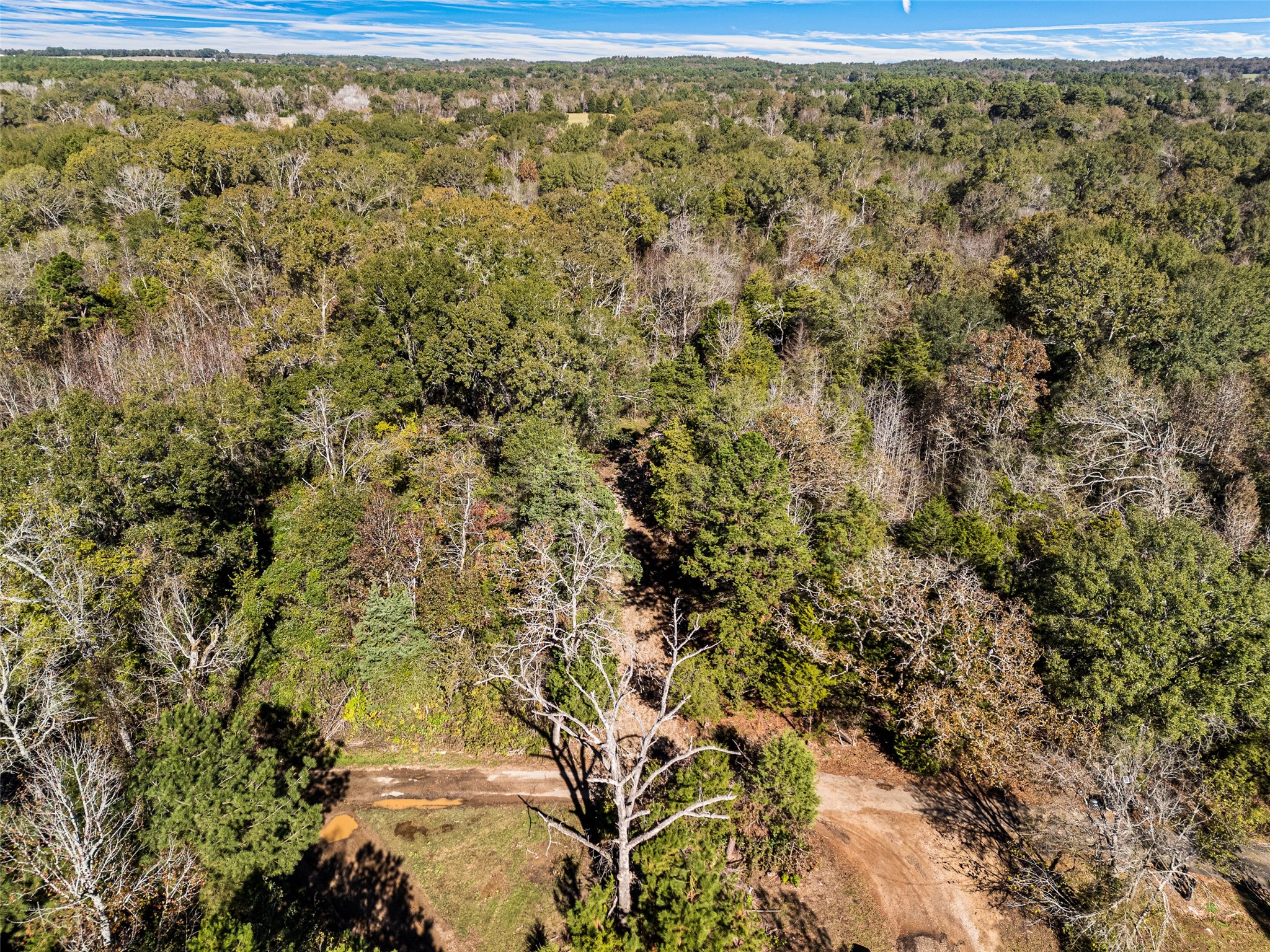 Tbd Vz County Road 4815 Chandler TX 75758