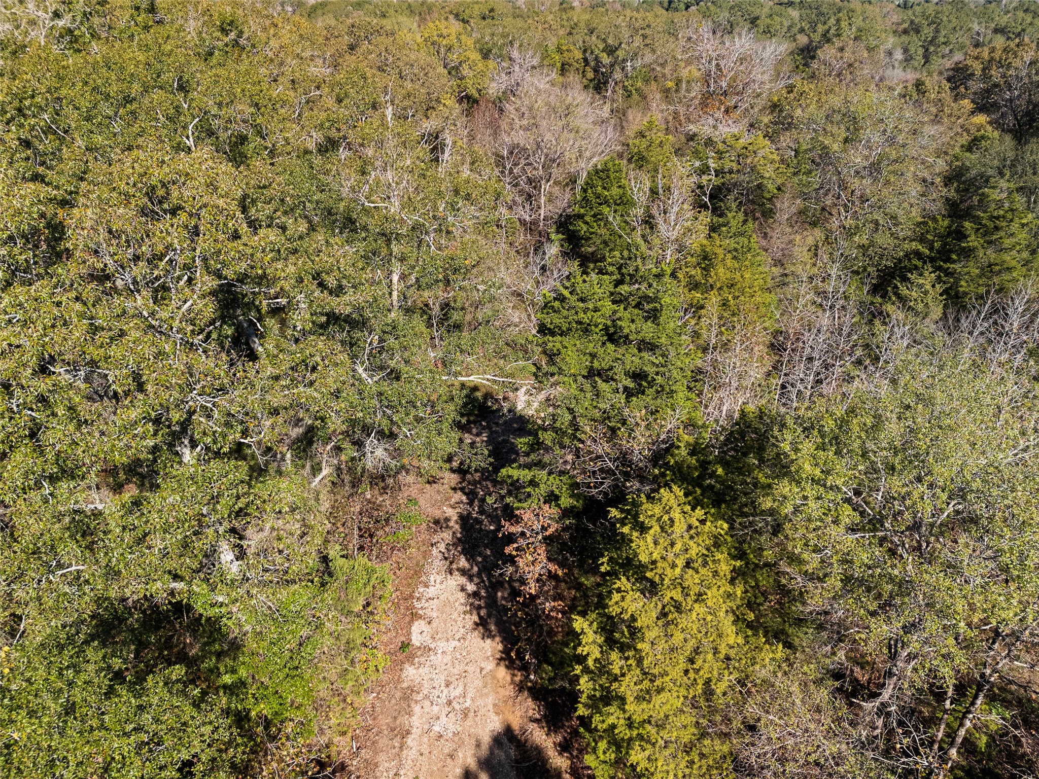 Tbd Vz County Road 4815 Chandler TX 75758
