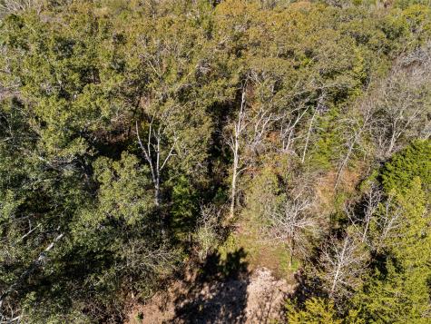 Tbd Vz County Road 4815 Chandler TX 75758