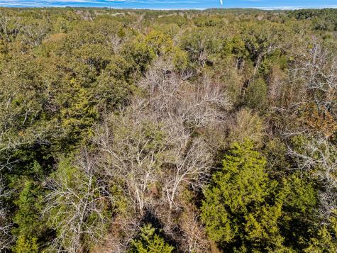 Tbd Vz County Road 4815 Chandler TX 75758