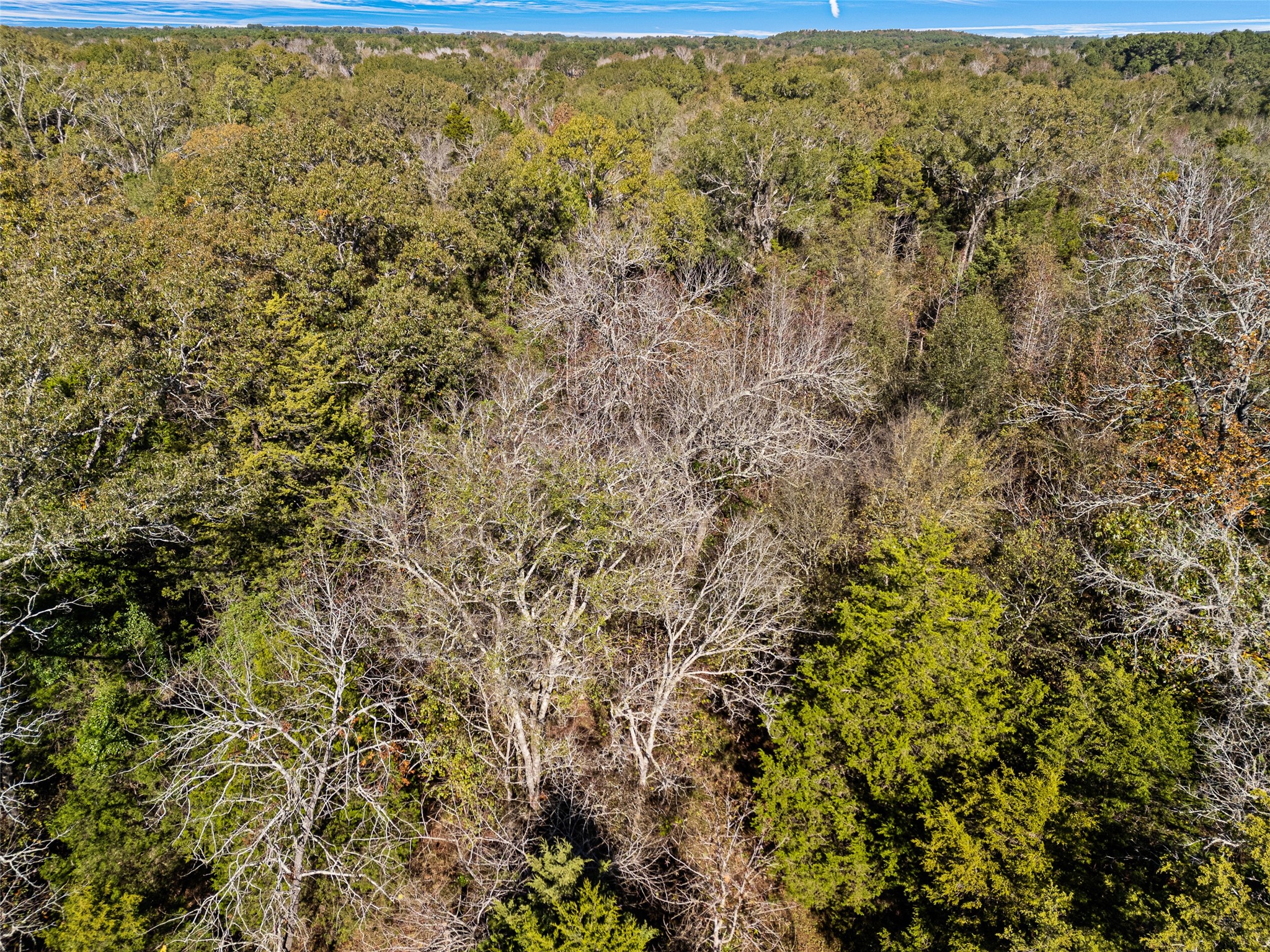 Tbd Vz County Road 4815 Chandler TX 75758