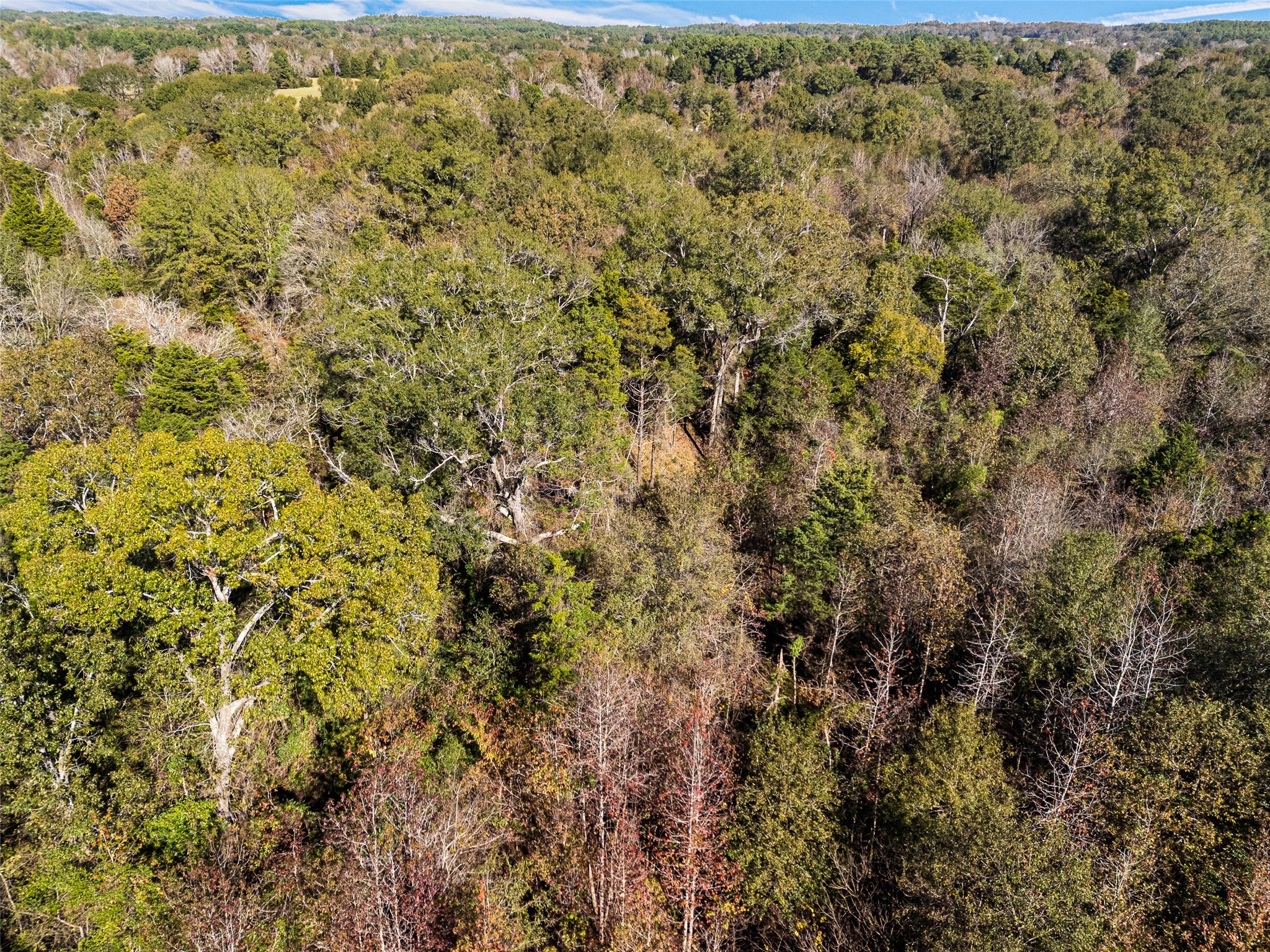 Tbd Vz County Road 4815 Chandler TX 75758