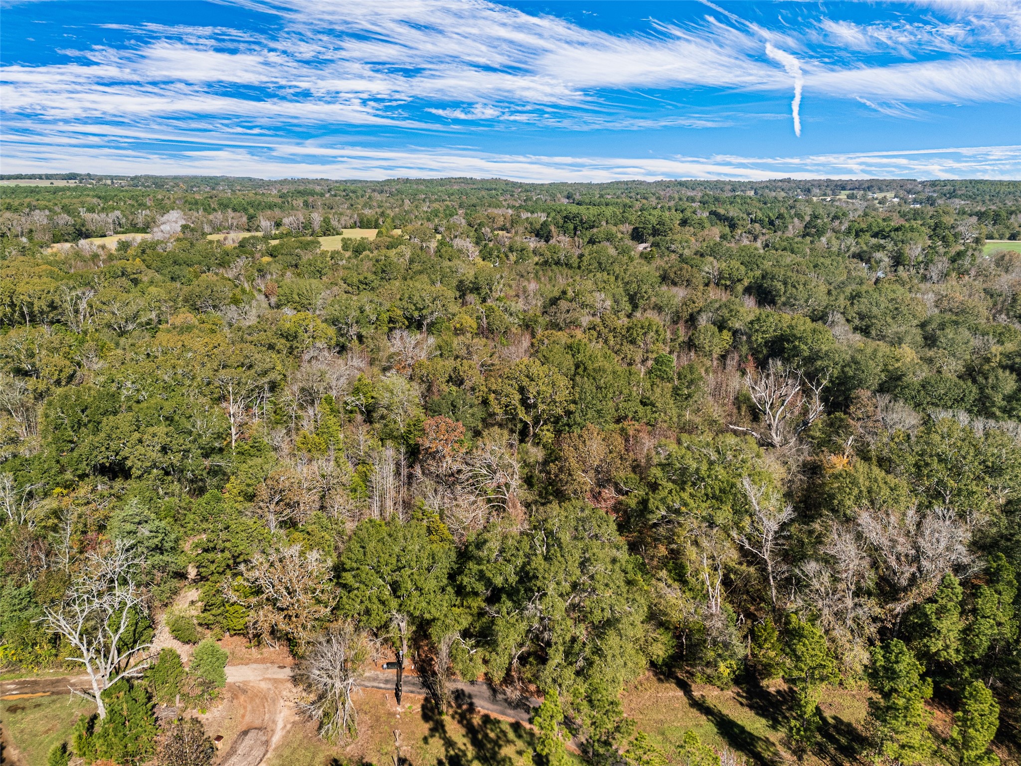 Tbd Vz County Road 4815 Chandler TX 75758