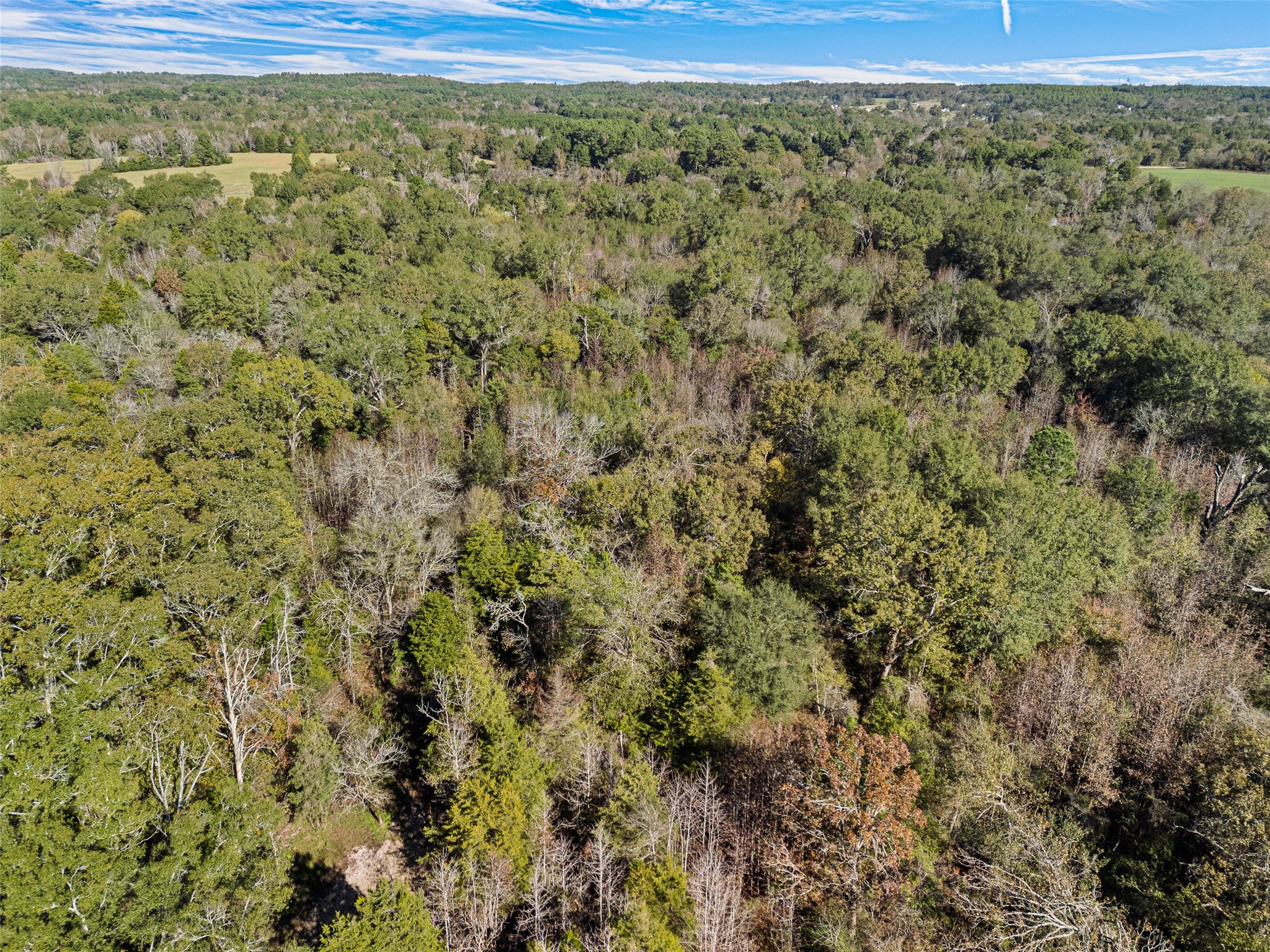 Tbd Vz County Road 4815 Chandler TX 75758