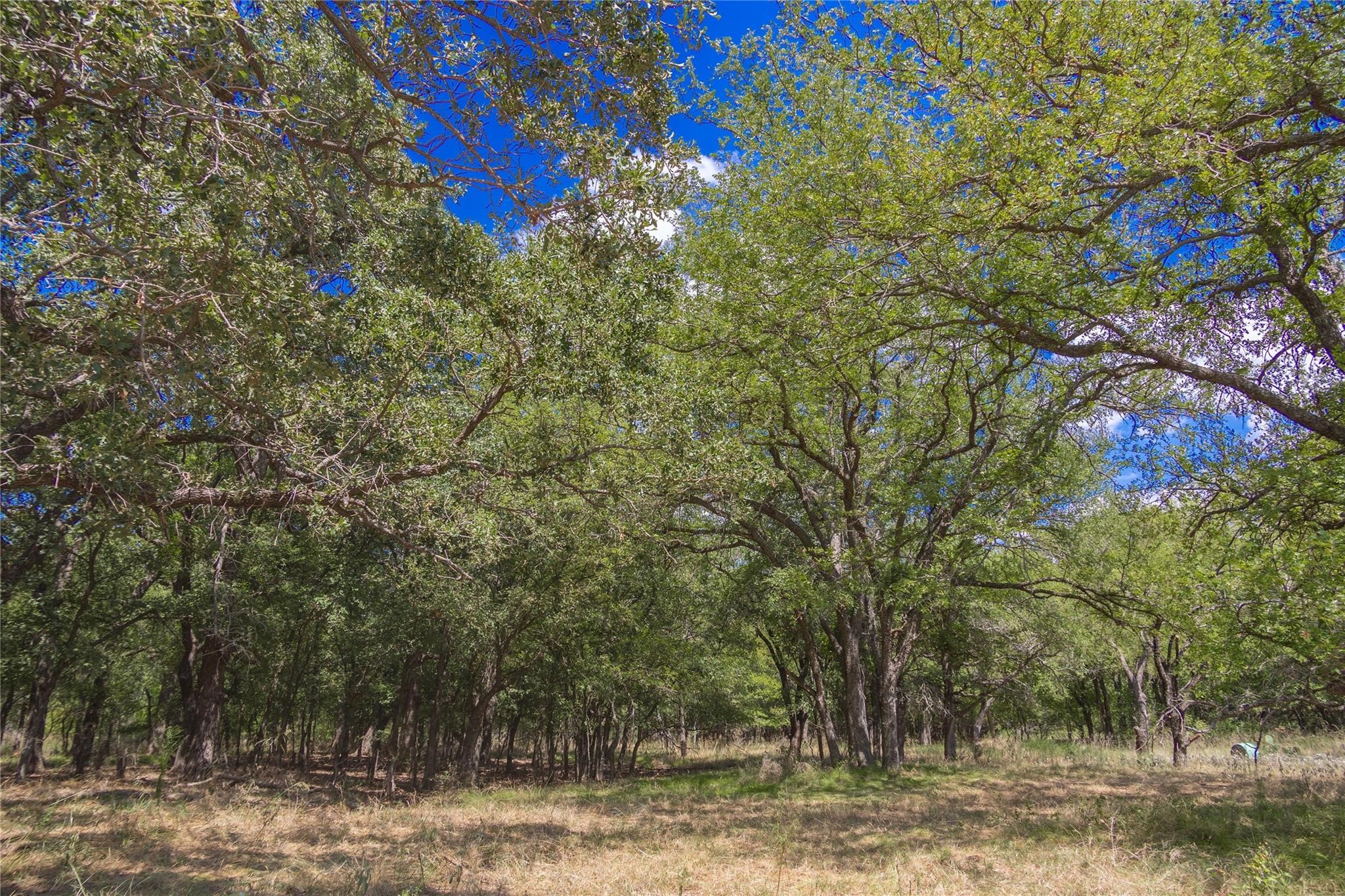 Tbd Cr 452 De Leon TX 76444
