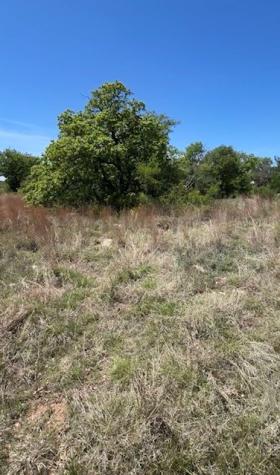 6665 Cr 132 Stephenville TX 76401