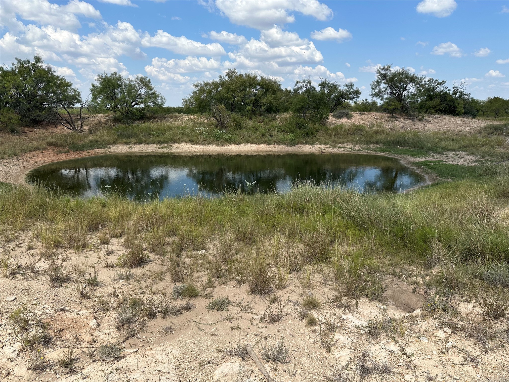 952 Pr 2179 Wingate TX 79566