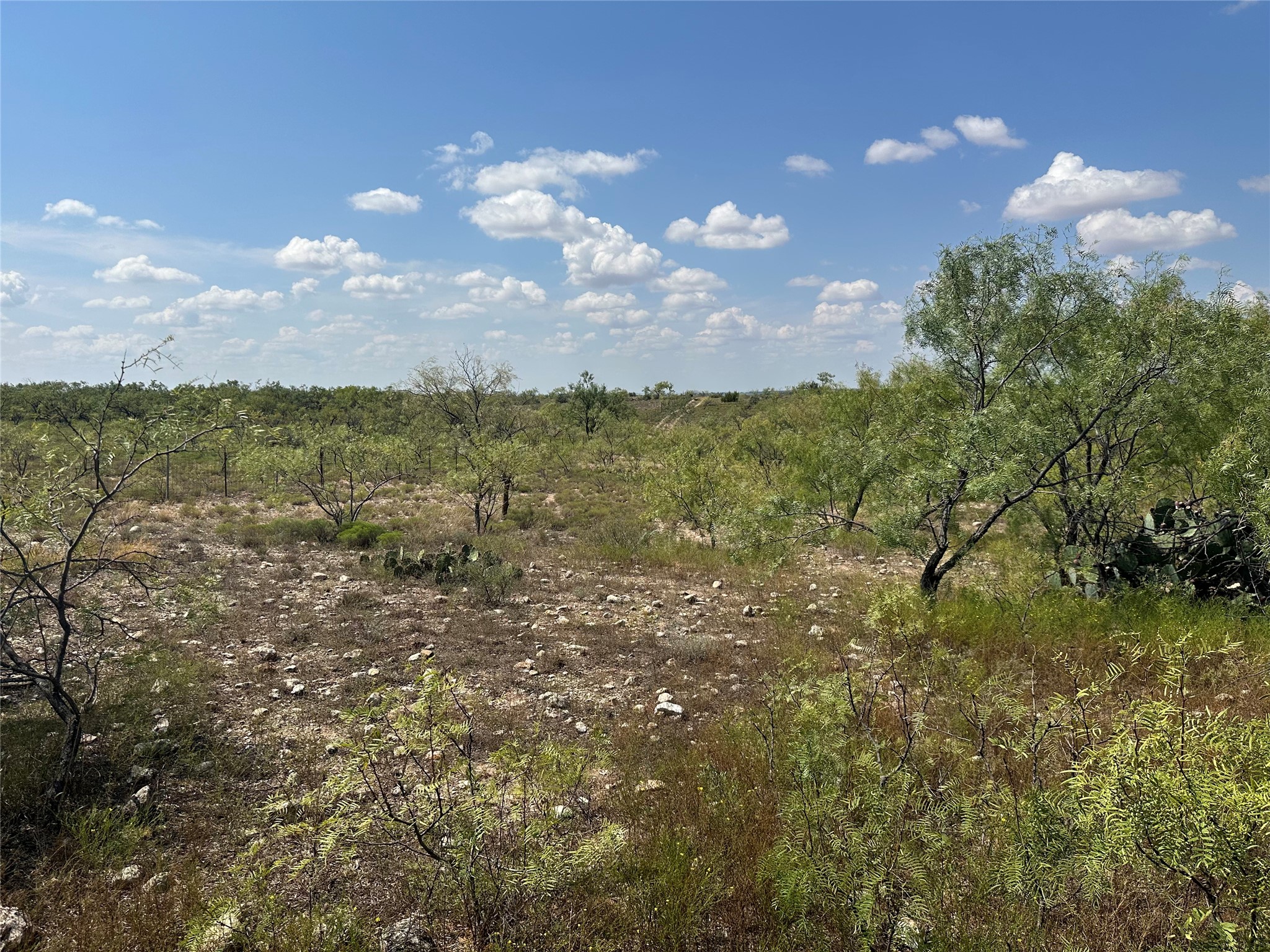 952 Pr 2179 Wingate TX 79566