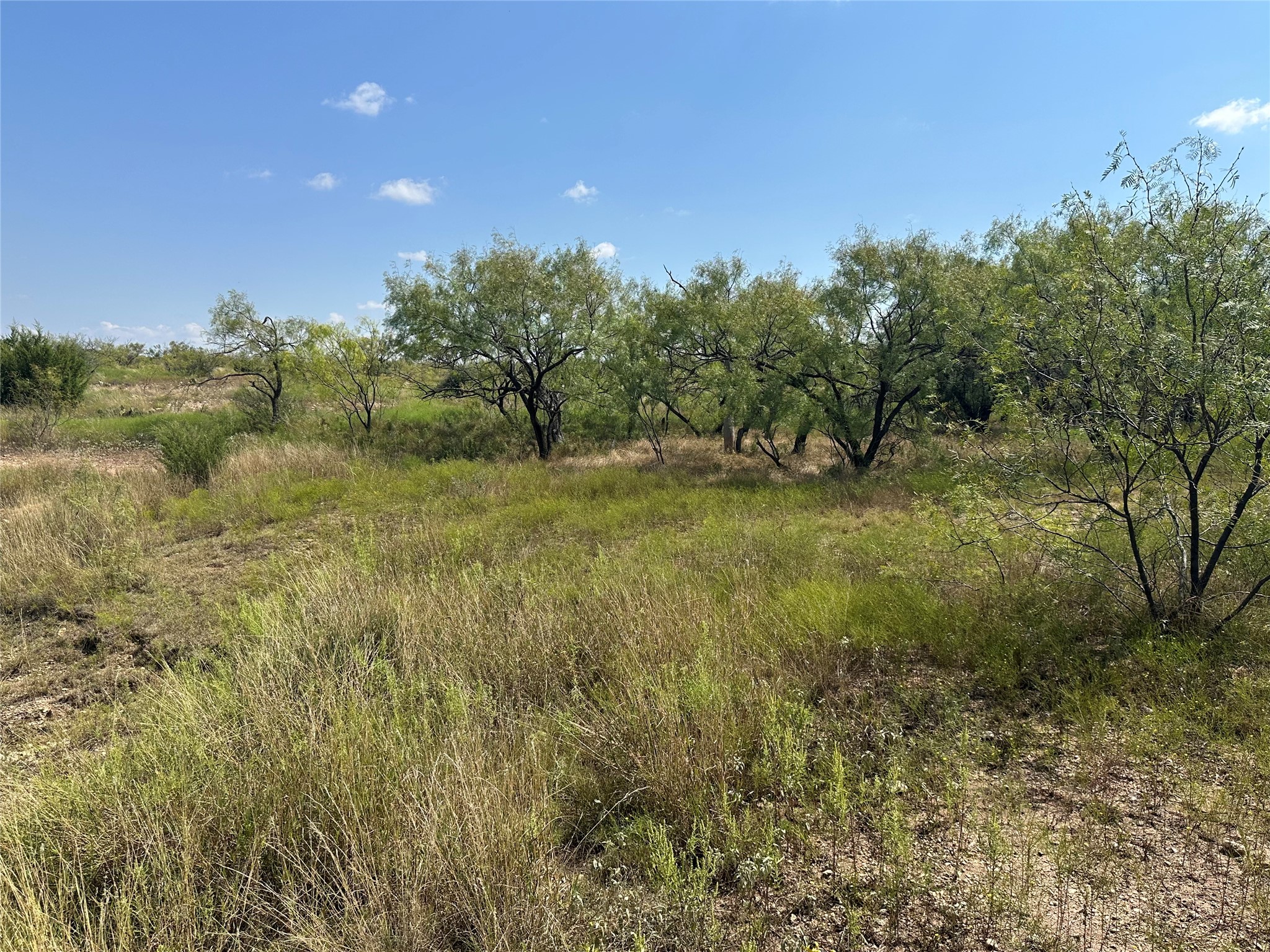 952 Pr 2179 Wingate TX 79566
