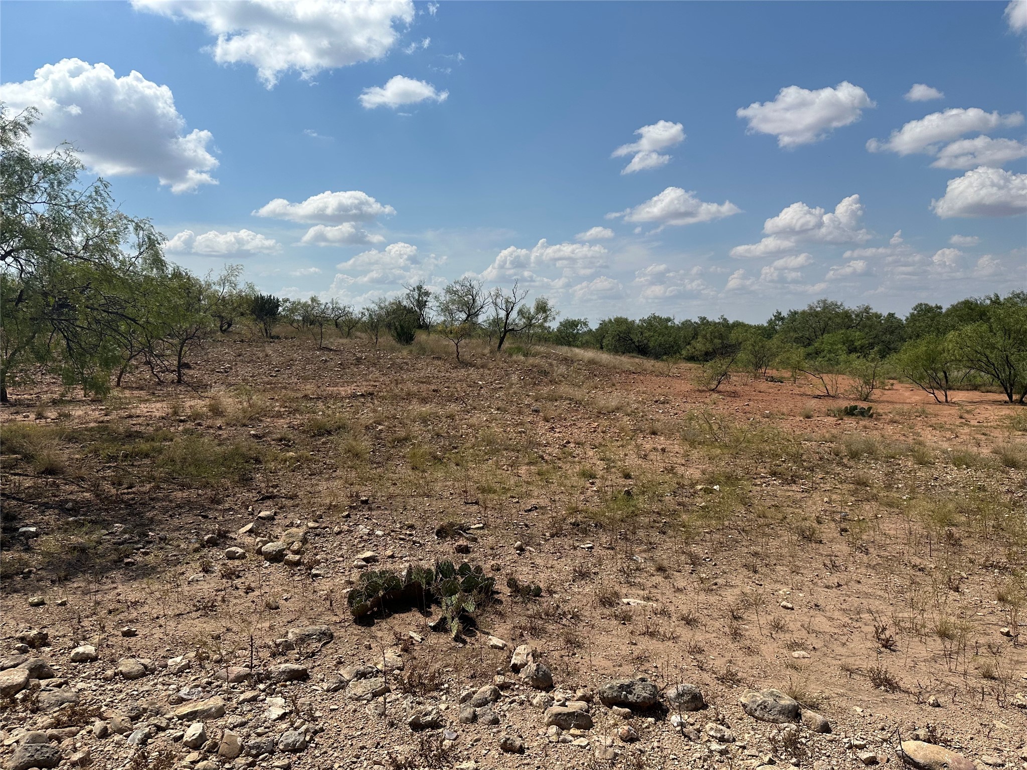 952 Pr 2179 Wingate TX 79566